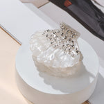Small Shell Hairclip