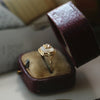 Vinty Ring(Resizable)