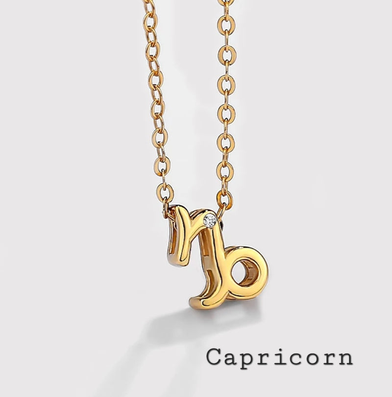 Zodiac Signs Necklace