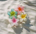 Maui Flower Hair Clip